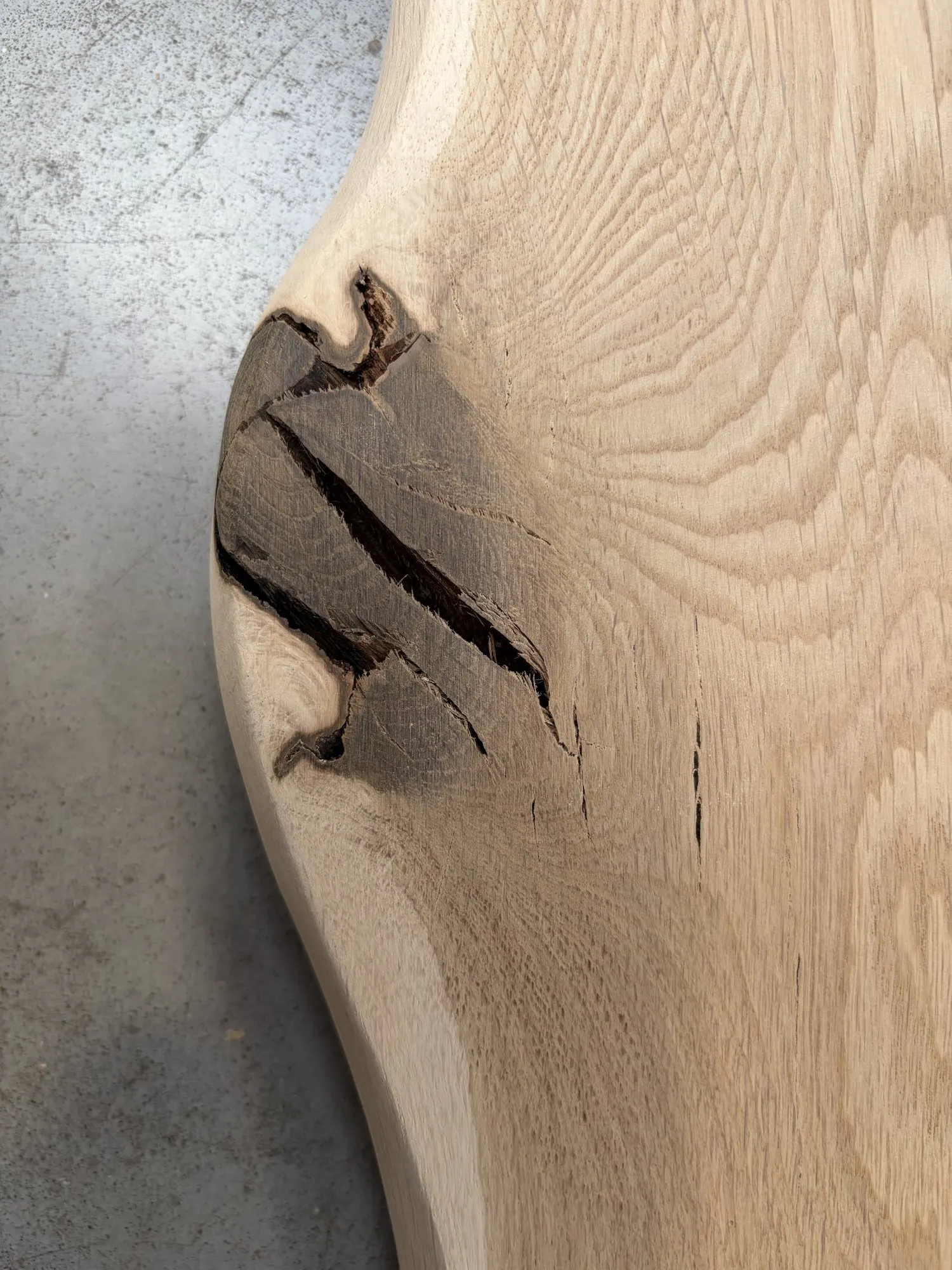 Bord naturel d’une planche de chêne et un nœud foncé, vus de près